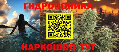 ПСИЛОЦИБИНОВЫЕ ГРИБЫ Боровичи