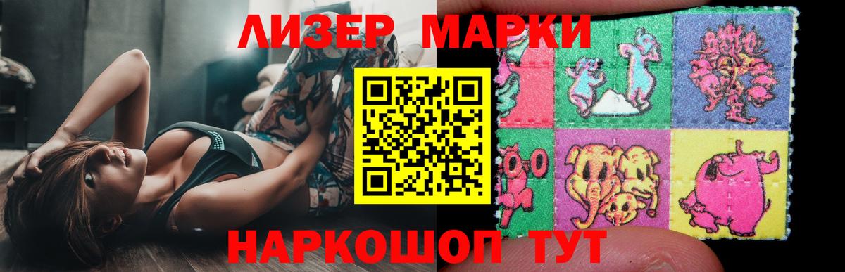 МЕФ Губаха