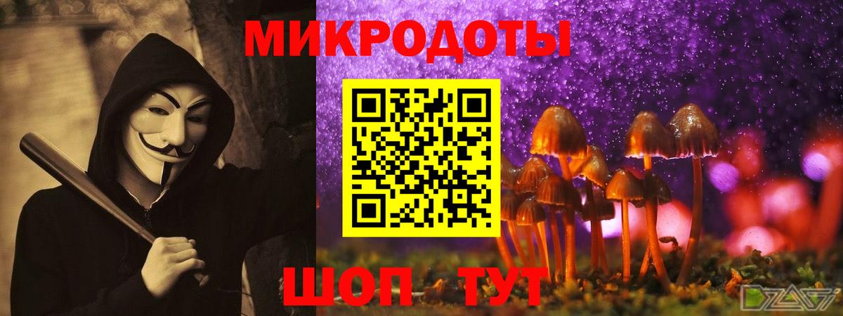 Галлюциногенные грибы Cubensis Губаха